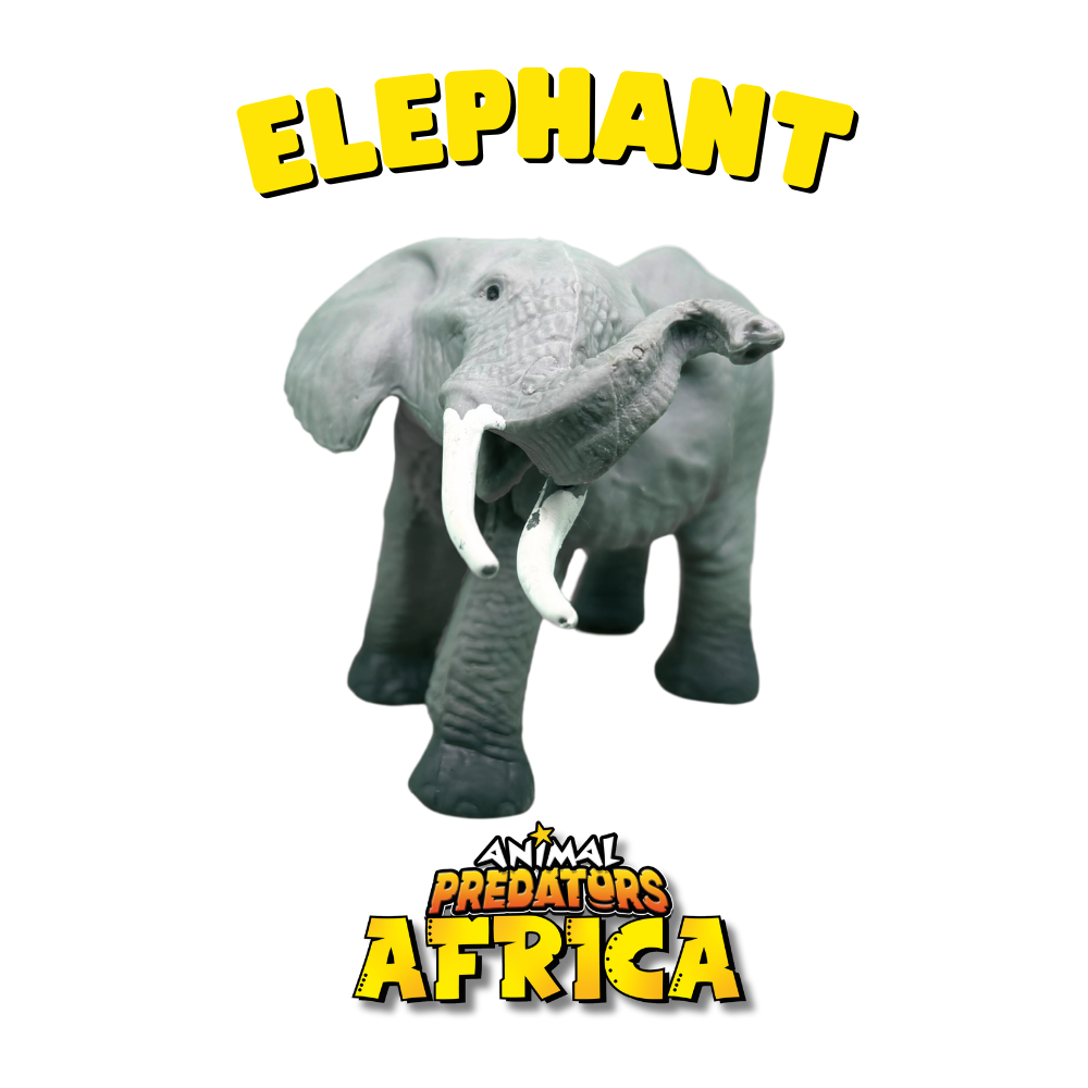 Animal Predators - Africa