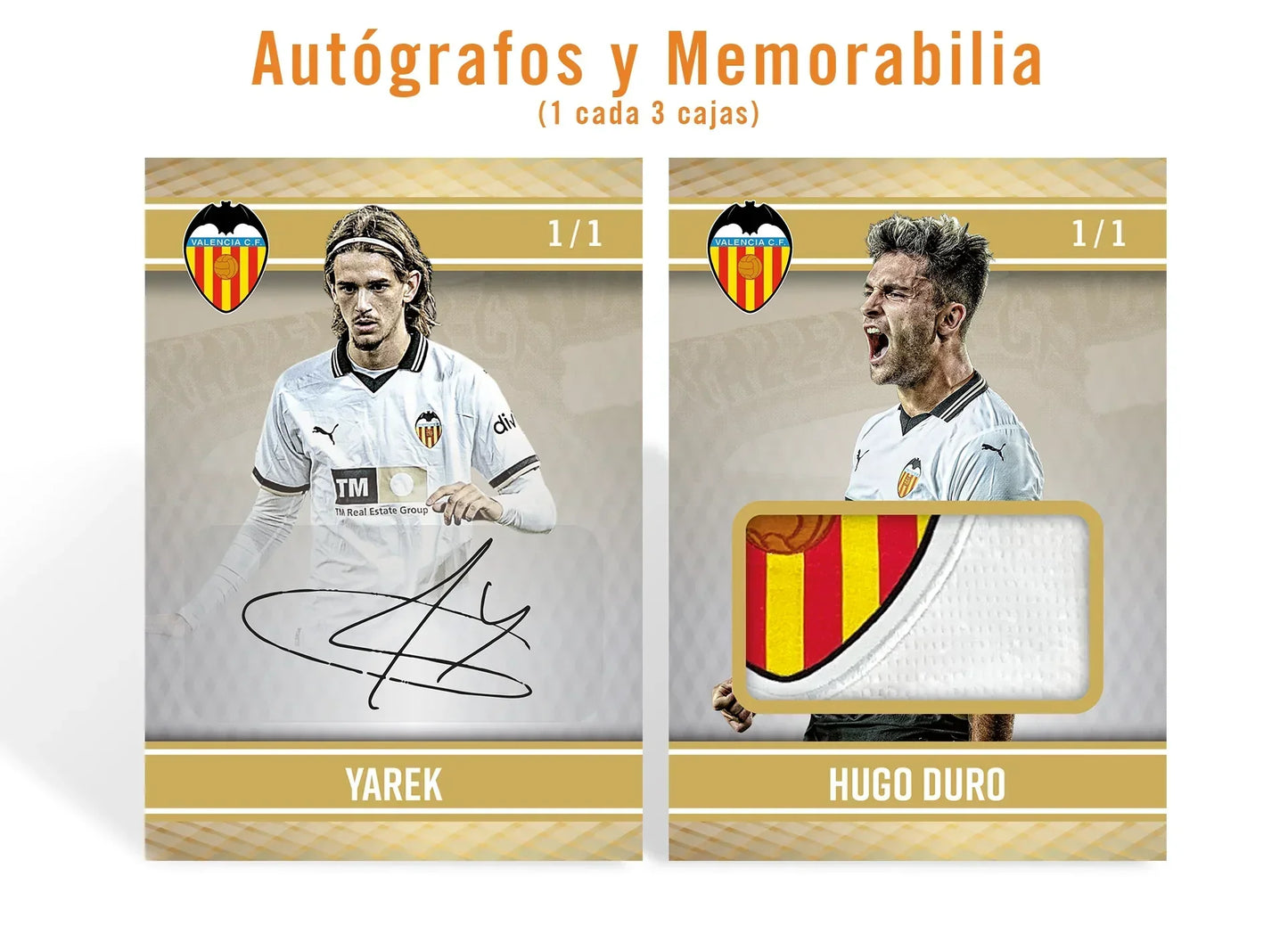 Álbum Idols Edition - VCF